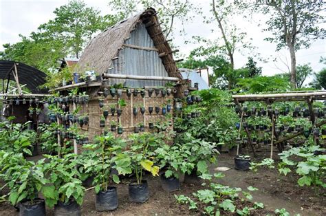 17 Best images about The Bahay Kubo (Nipa Hut) on Pinterest | High risk ...