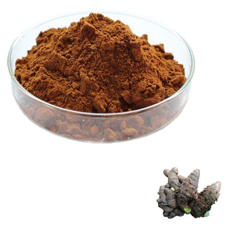 Black Ginger Extract Benefits | Hefei Dielegance Biotechnology Co., Ltd.