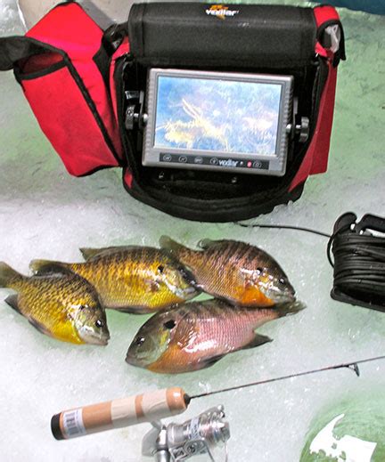 Using an underwater camera to catch more fish | Northwest Iowa Outdoors ...