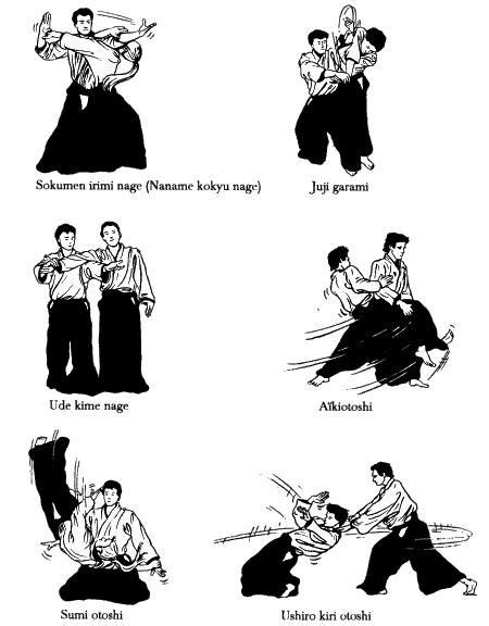 47 best images about aikido techniques on Pinterest | Aikido, Sats and ...