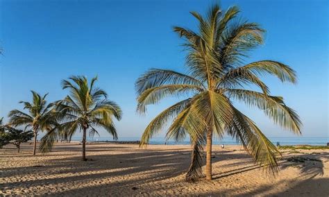 The Gambia Beaches: Our Pick of the Best