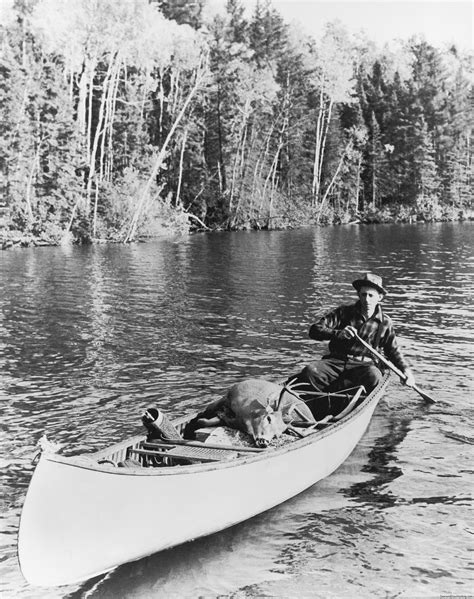 Deer hunting:Vintage Canoe Buck. #deer #deerhunting #deerhuntingtips #hunting #huntingtips # ...