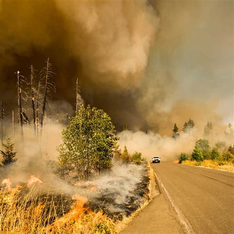 Wildfires are here to stay. How to protect against smoky skies