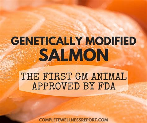 Buyer BEWARE: Sold Without Label, GMO Salmon Coming To A Grocery Store ...