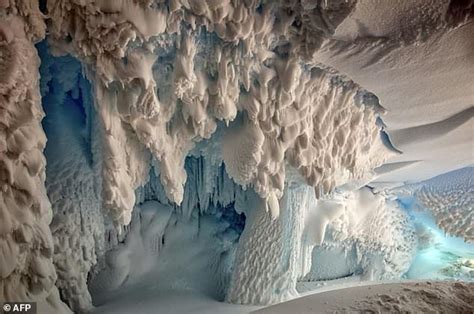 Antarctica's warm caves may hold 'secret world' of species | Daily Mail Online