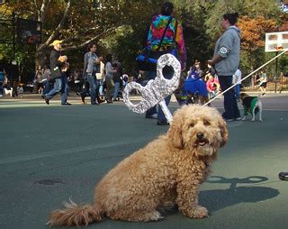 wind-up dog | Wind-up dog, Carl Schurz Park Annual Halloween… | Flickr