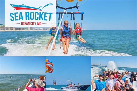 Sea Rocket - OceanCity.Guide