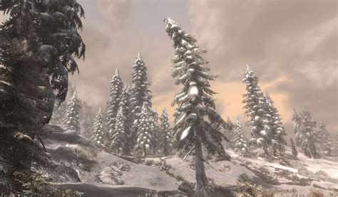 Улучшенная флора Скайрима / Skyrim Flora Overhaul SE