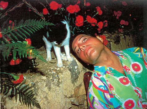 20 Vintage Photos Of Freddie Mercury And His Cats That Show His Love ...