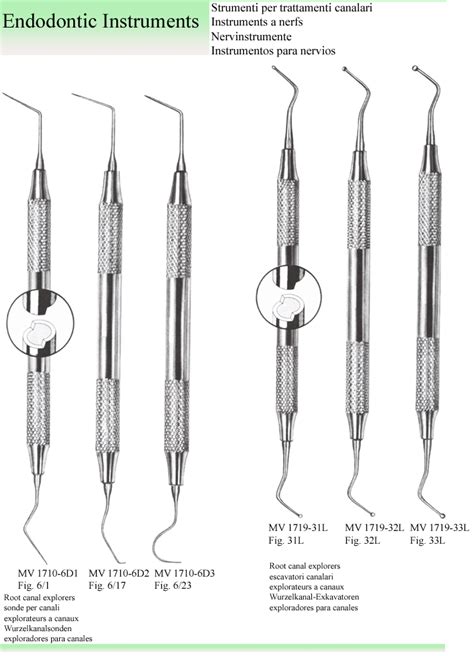 endodontic instruments 2 | Dental instruments, Registered dental hygienist, Dental life