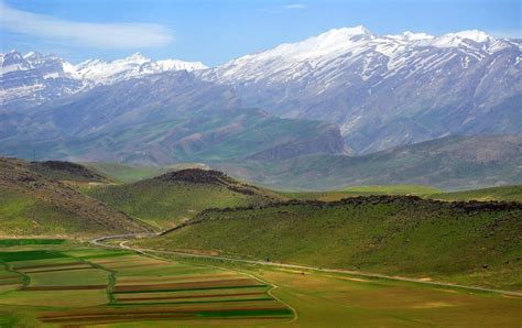 Race against time to save Kurdistan’s endangered... | Rudaw.net