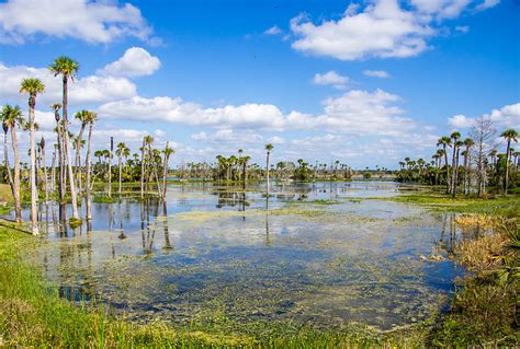 Supreme Court Ruling in Florida Wetlands Case Not Quite the Win ...