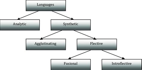 2: Morphological typology of languages. | Download Scientific Diagram