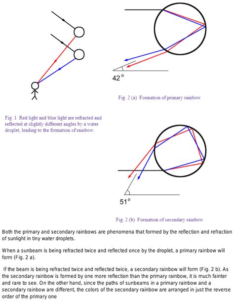 How primary and secondary rainbow is formed? Explain in detail