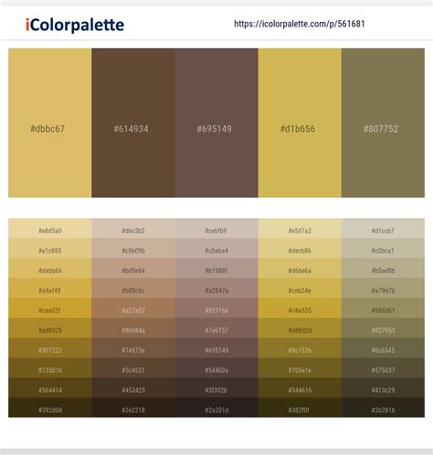 230+ Latest Color Schemes with Apache Color tone combinations | 2024 | iColorpalette