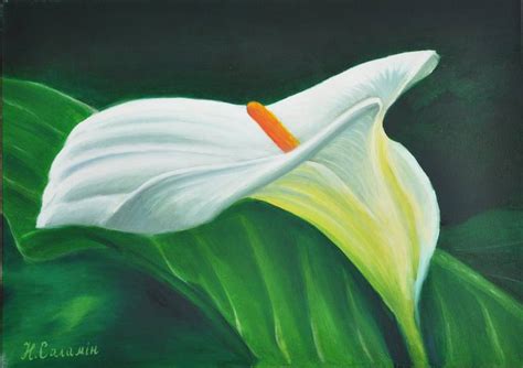 Calla Painting by Nataliia Salamin | Saatchi Art