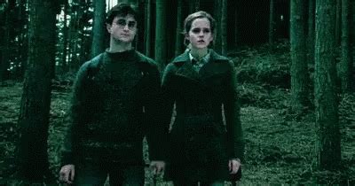 Apparition Harry Potter GIF – Apparition Harry Potter Magic – GIFs ...