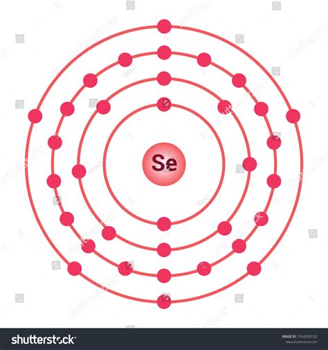 Bohr Model Selenium Atom Electron Structure Stock Vector (Royalty Free ...