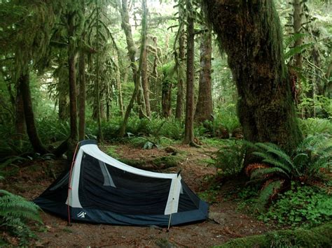 Boondocking 101: How To Camp For Free In Beautiful Places | Best tents for camping, Boondocking ...