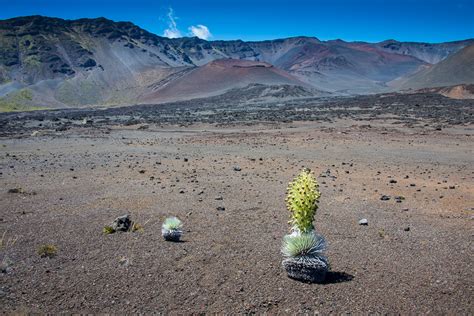 Hiking Across Haleakala Volcano - Peter Liu