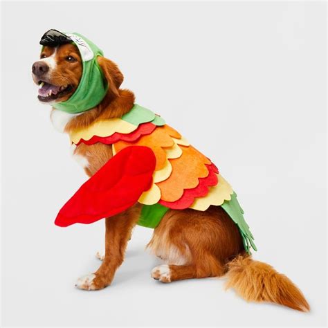 POPSUGAR Shop | Pet halloween costumes, Dog turkey costume, Dog costume