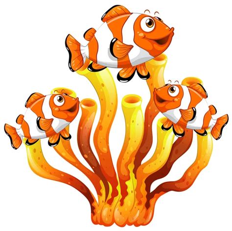 Corals And Fish Clipart Image