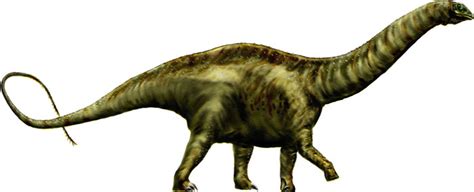 Apatosaurus | Appearance + Lifestyle + Diet | - Science4Fun