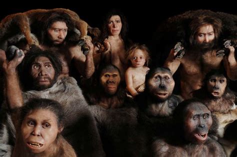 Human Evolution | @Bahster | Flipboard