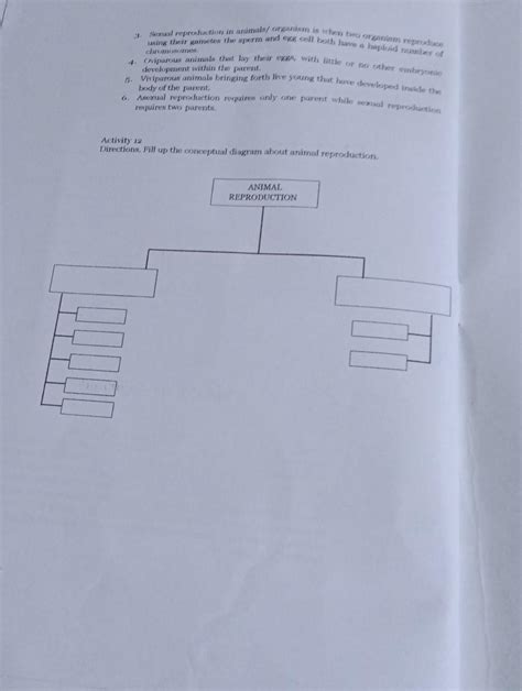 directions:fill up the conceptual diagram about animal reproduction ...