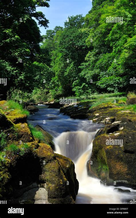 Yorkshire dales river wharfe hi-res stock photography and images - Alamy