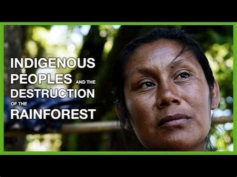 How does Deforestation Affect Indigenous People? We Asked Some of Them to Explain it to us : r ...