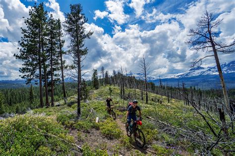 The Oregon Timber Trail (video) - BIKEPACKING.com