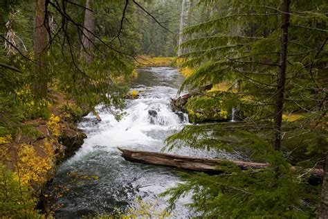 Scenic Rogue River - Oregon | Camping for Women