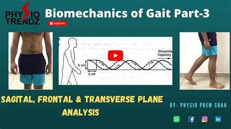 Walking Gait Analysis, In Sagital, Frontal and Transverse plane ||Gait ...