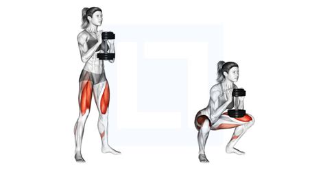 Dumbbell Goblet Squat - Guide, Benefits, and Form