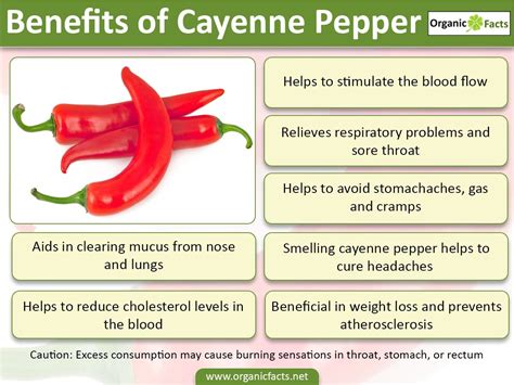 BENEFITS OF CAYENNE PEPPER - ♥♥ MAMA MASZULL ♥♥