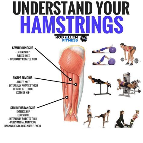 Will 4 Exercises Build And Strengthen Glutes And Hamstrings? Yes! We ...