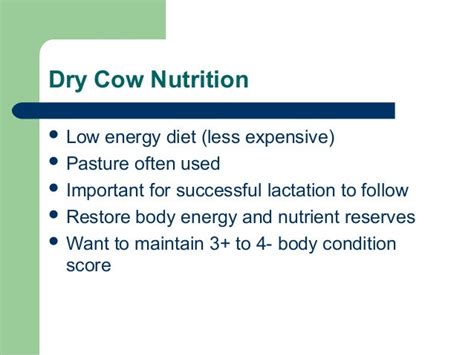 Dairy cow nutrition