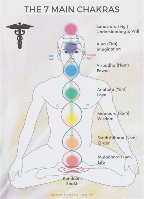 More On Chakras - Revitalize