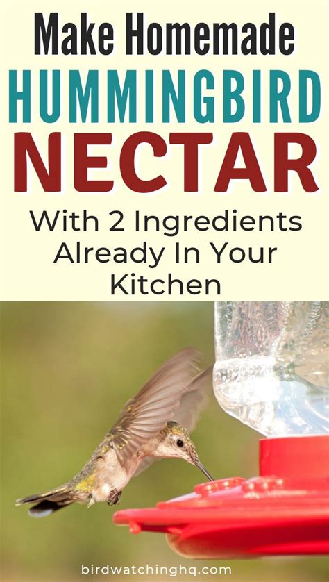 EASY Hummingbird Nectar Recipe w/ only TWO ingredients! | Hummingbird food, Hummingbird nectar ...