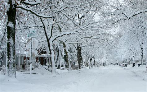 Winter in Ann Arbor, Michigan photo on Sunsurfer