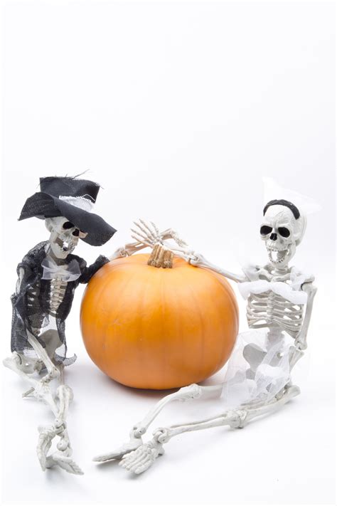 Pumpkin And Skeleton Free Stock Photo - Public Domain Pictures