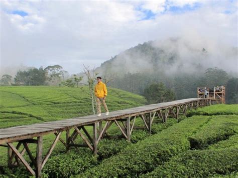 Tempat Wisata di Puncak Bogor, Lagi Hits Dan Populer di Jawa Barat - Times.id