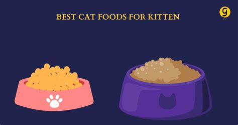 Cat Foods For Kittens Lovers-Best 9 Foods For Their Unique Nutrition - Giftor