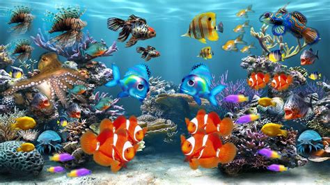 Tropical Aquarium Wallpapers - Top Free Tropical Aquarium Backgrounds ...