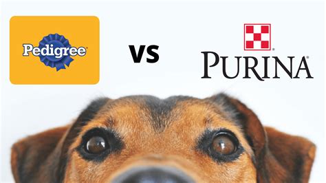 Does Purina Make Pedigree Dog Food