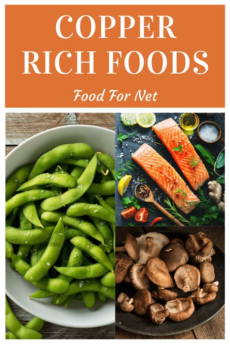 24 Copper Rich Foods So You’re Never Short Of This Trace Mineral | Food For Net