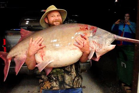 Missouri Spoonbill Season 2024 - Bren Marlie