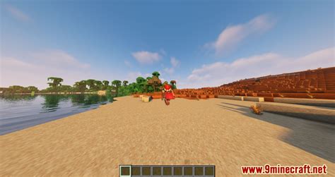 Bobby Mod (1.19, 1.18.2) - Rendering the Environment better - Mc-Mod.Net