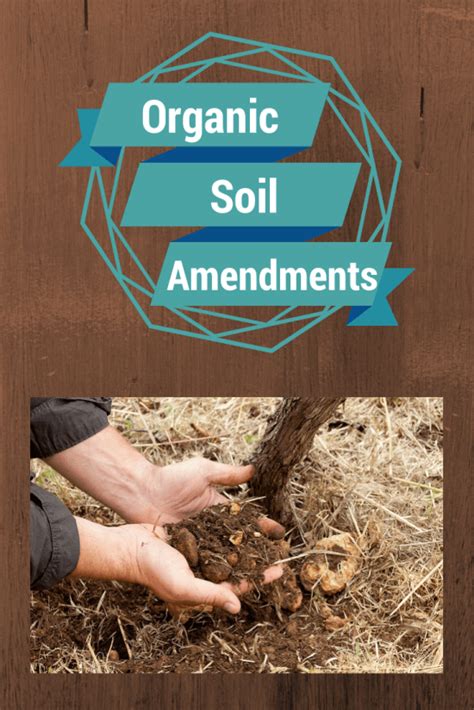 Organic Soil Amendment 101